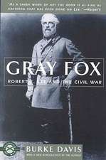 Gray Fox