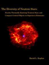 The Diversity of Neutron Stars