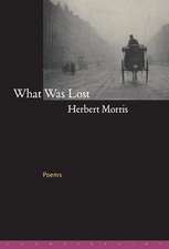 What Was Lost: Poems