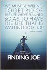 Finding Joe