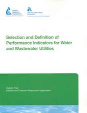 Selection and Definition of Performance Indicators for Water and Wastewater Utilities