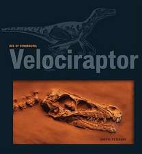 Velociraptor