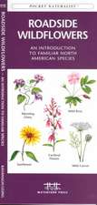 Roadside Wildflowers: An Introduction to Familiar North American Species