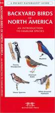 Backyard Birds of North America: An Introduction to Familiar Species