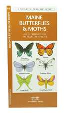 Maine Butterflies & Moths: An Introduction to Familiar Species