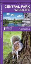 Central Park Wildlife: A Folding Pocket Guide to Familiar Species