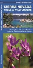 Sierra Nevada Trees & Wildflowers: A Folding Pocket Guide to Familiar Species of the Montane Forest Region