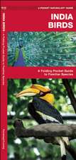 India Birds: A Folding Pocket Guide to Familiar Species