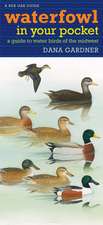 Waterfowl in Your Pocket: A Guide to Water Birds of the Midwest