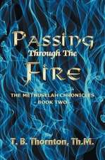 Passing Through The Fire