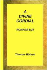 A Divine Cordial - Romans 8: 28