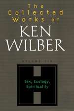 The Collected Works of Ken Wilber, Volume 6