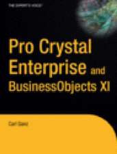 Pro Crystal Enterprise/Business Objects XI Programming
