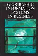 Geographic Information Systems in Business