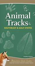 Animal Tracks of the Southeast & Gulf States