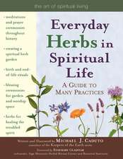 Everyday Herbs in Spiritual Life: A Guide to Many Practices