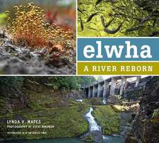 Elwha