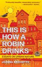 This Is How a Robin Drinks
