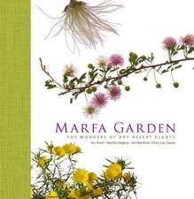 Marfa Garden: The Wonders of Dry Desert Plants