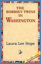 The Bobbsey Twins in Washington