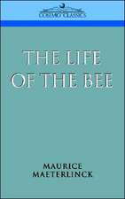 The Life of the Bee