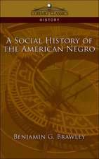 A Social History of the American Negro