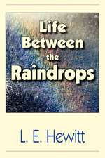 Life Between the Raindrops