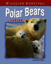 Polar Bears in Danger