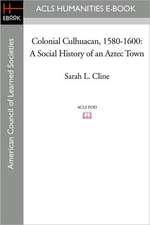 Colonial Culhuacan, 1580-1600: A Social History of an Aztec Town