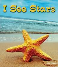 I See Stars