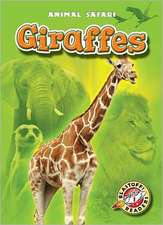 Giraffes