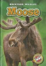 Moose