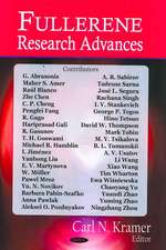 Fullerene Research Advances