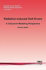 Radiation-Induced Soft Error: A Chip-Level Modeling