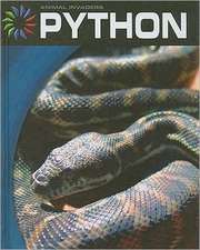 Python