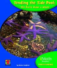 Tending the Tide Pool: The Parts Make a Whole