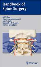 Handbook of Spine Surgery