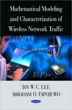 Mathematical Modeling and Characterization of Wireless Network Traffic