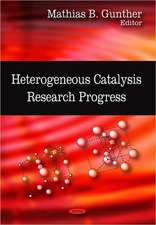 Heterogeneous Catalysis Research Progress