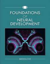 Foundations of Neural Development