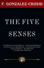 The Five Senses