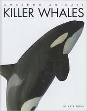 Killer Whales