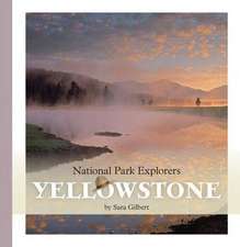 Gilbert, S: Yellowstone