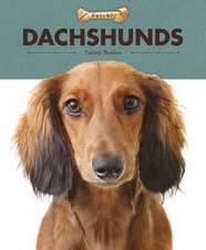 Dachshunds