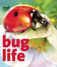 Bug Life