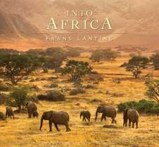 Into Africa