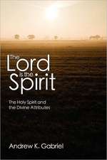 The Lord Is the Spirit: The Holy Spirit and the Divine Attributes