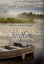 Understanding Perception: Identify, Understand, Choose