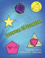 Essential 3D Geometry: Unraveling the Mathematical Wonders