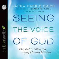 Seeing the Voice of God